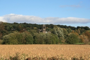 Fields